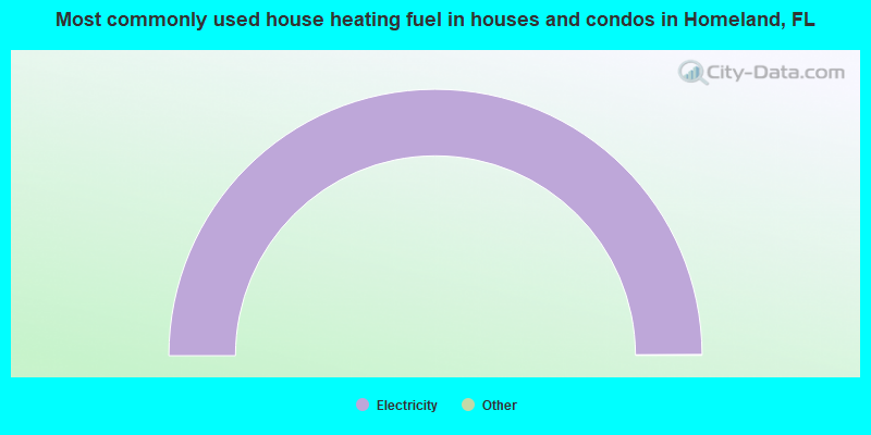 Most commonly used house heating fuel in houses and condos in Homeland, FL