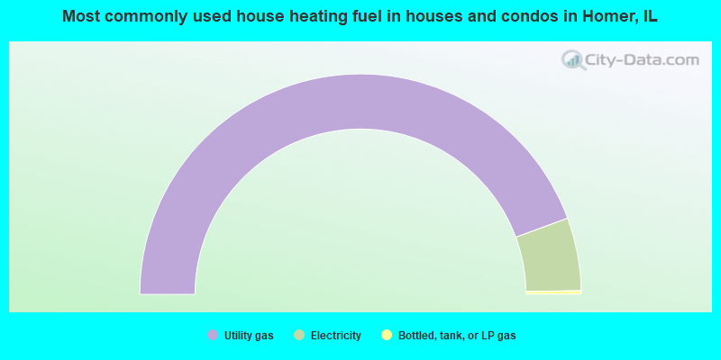 Most commonly used house heating fuel in houses and condos in Homer, IL