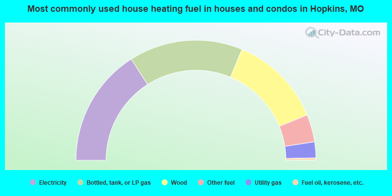 Most commonly used house heating fuel in houses and condos in Hopkins, MO