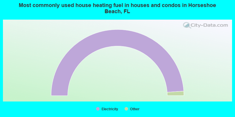 Most commonly used house heating fuel in houses and condos in Horseshoe Beach, FL