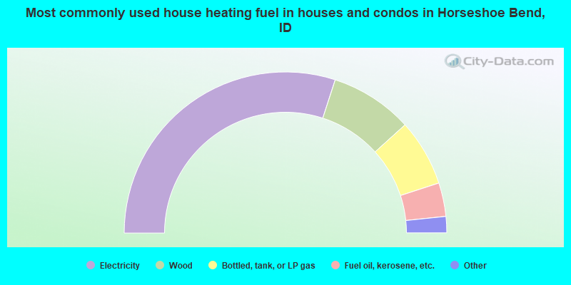 Most commonly used house heating fuel in houses and condos in Horseshoe Bend, ID