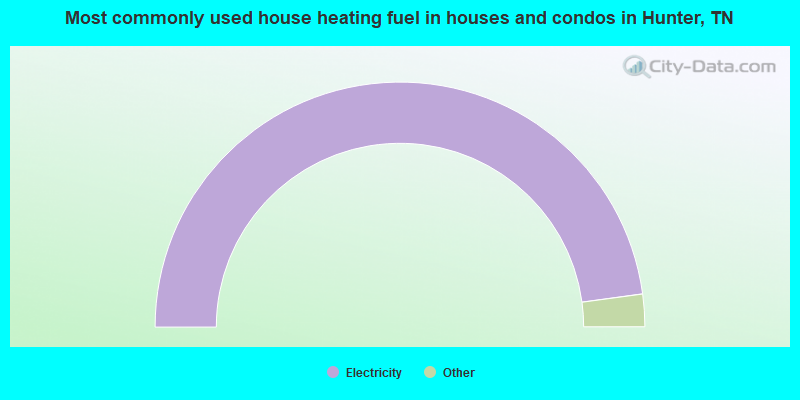 Most commonly used house heating fuel in houses and condos in Hunter, TN