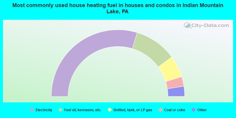 Most commonly used house heating fuel in houses and condos in Indian Mountain Lake, PA