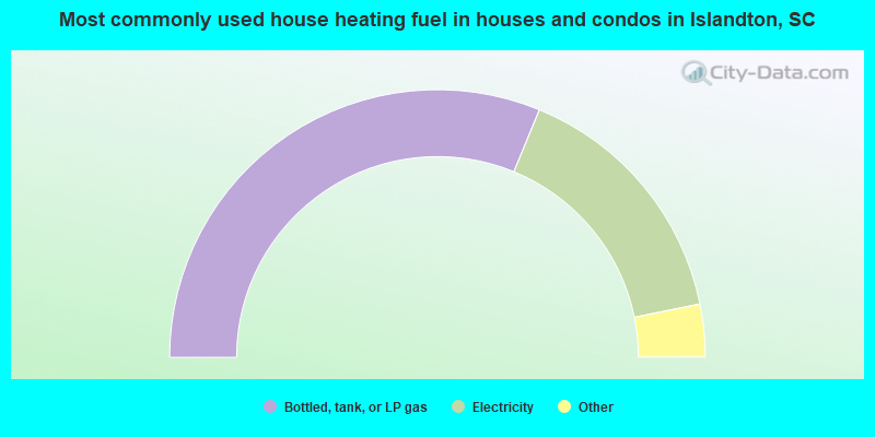 Most commonly used house heating fuel in houses and condos in Islandton, SC