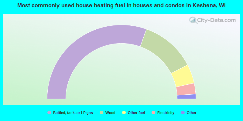 Most commonly used house heating fuel in houses and condos in Keshena, WI