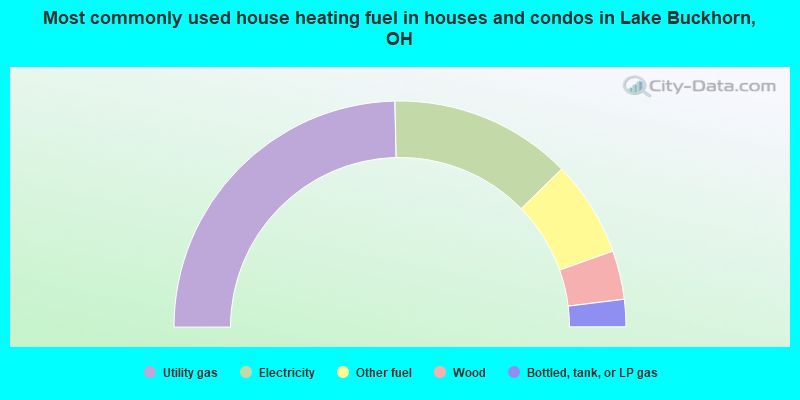 Most commonly used house heating fuel in houses and condos in Lake Buckhorn, OH