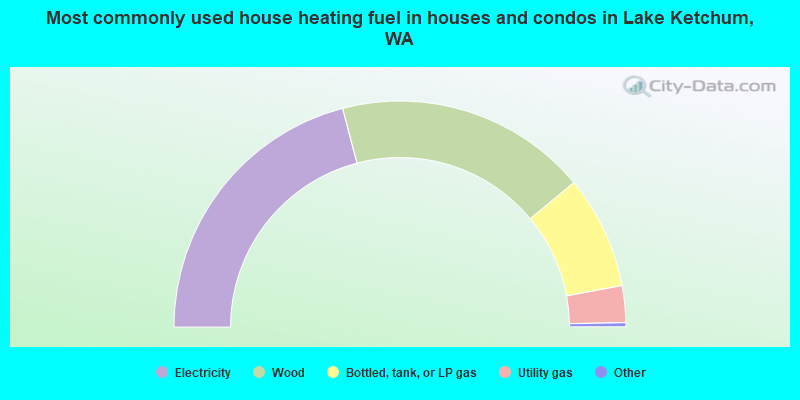 Most commonly used house heating fuel in houses and condos in Lake Ketchum, WA