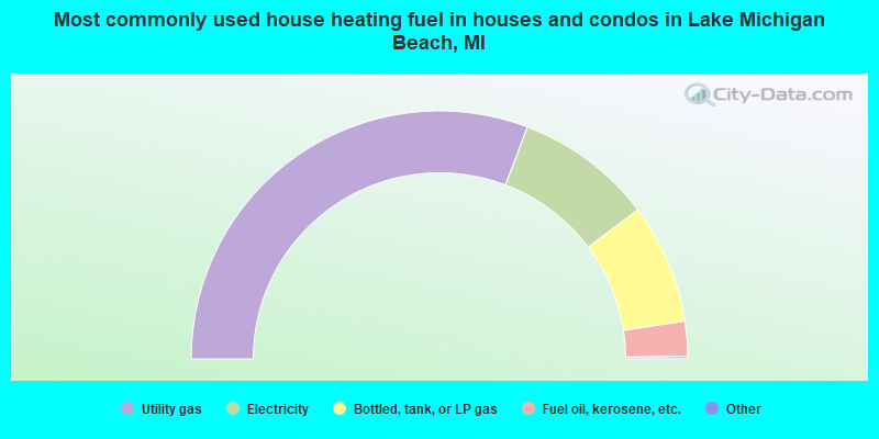 Most commonly used house heating fuel in houses and condos in Lake Michigan Beach, MI