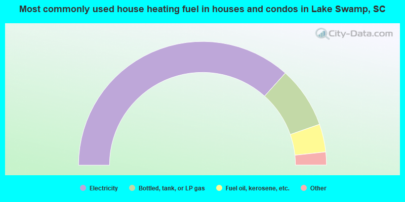 Most commonly used house heating fuel in houses and condos in Lake Swamp, SC