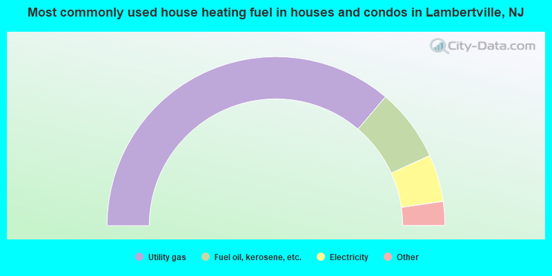 Most commonly used house heating fuel in houses and condos in Lambertville, NJ