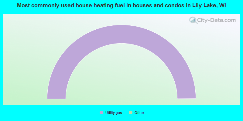 Most commonly used house heating fuel in houses and condos in Lily Lake, WI