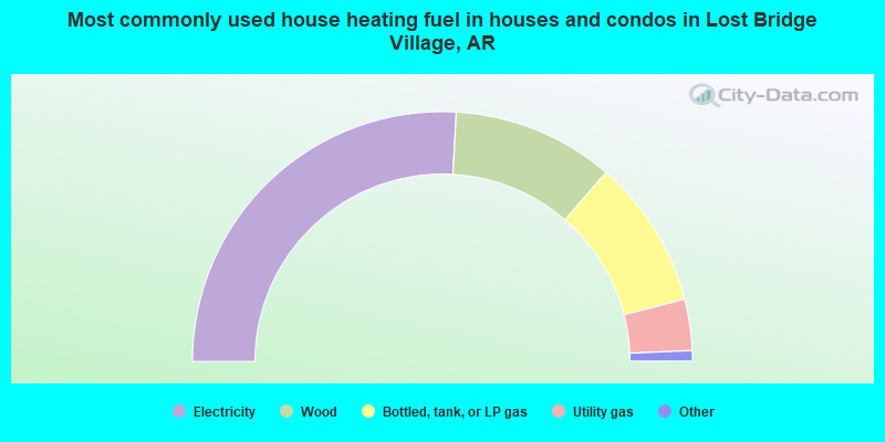 Most commonly used house heating fuel in houses and condos in Lost Bridge Village, AR