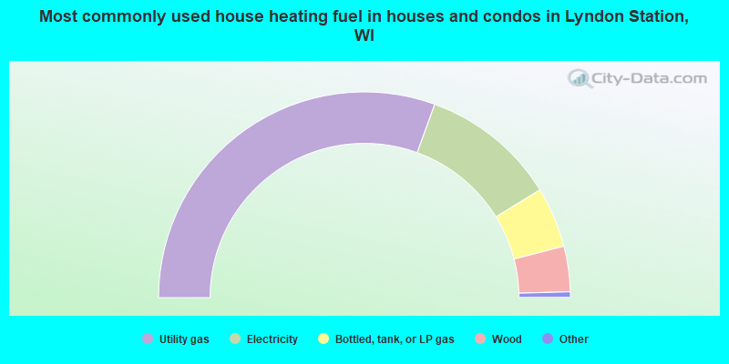 Most commonly used house heating fuel in houses and condos in Lyndon Station, WI
