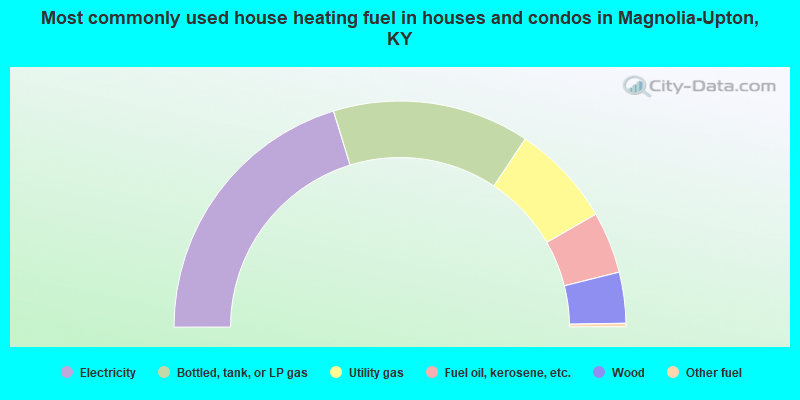 Most commonly used house heating fuel in houses and condos in Magnolia-Upton, KY