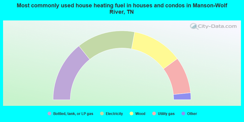 Most commonly used house heating fuel in houses and condos in Manson-Wolf River, TN