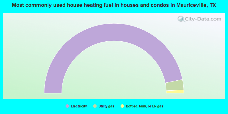 Most commonly used house heating fuel in houses and condos in Mauriceville, TX