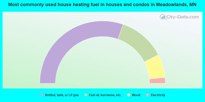 Most commonly used house heating fuel in houses and condos in Meadowlands, MN