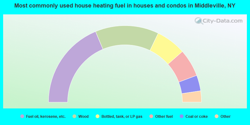 Most commonly used house heating fuel in houses and condos in Middleville, NY