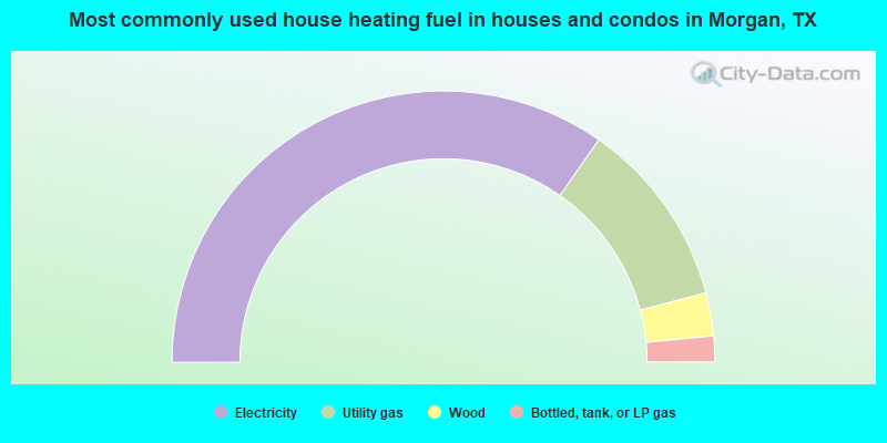 Most commonly used house heating fuel in houses and condos in Morgan, TX