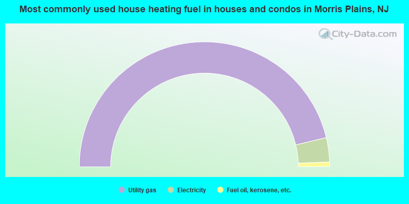 Most commonly used house heating fuel in houses and condos in Morris Plains, NJ