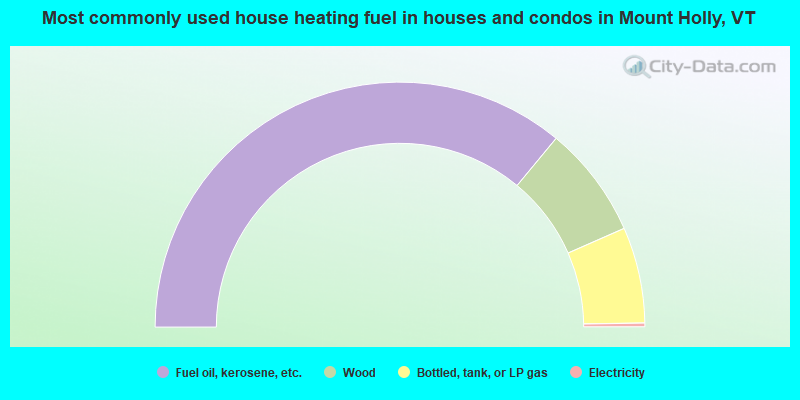 Most commonly used house heating fuel in houses and condos in Mount Holly, VT