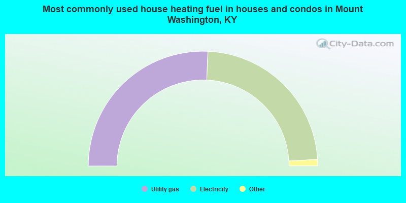 Most commonly used house heating fuel in houses and condos in Mount Washington, KY