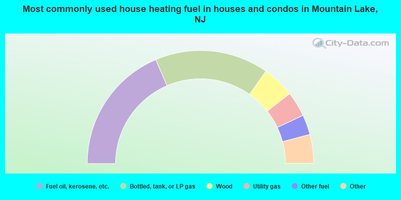 Most commonly used house heating fuel in houses and condos in Mountain Lake, NJ