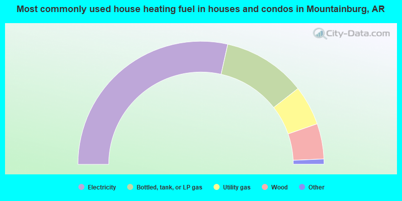 Most commonly used house heating fuel in houses and condos in Mountainburg, AR
