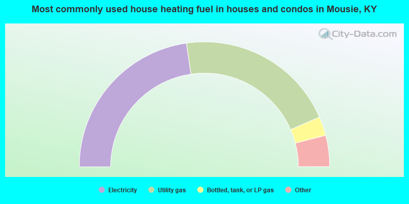 Most commonly used house heating fuel in houses and condos in Mousie, KY