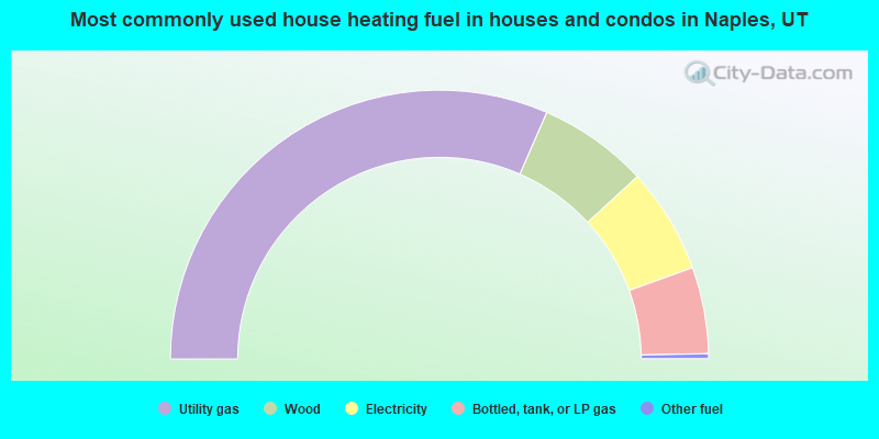 Most commonly used house heating fuel in houses and condos in Naples, UT