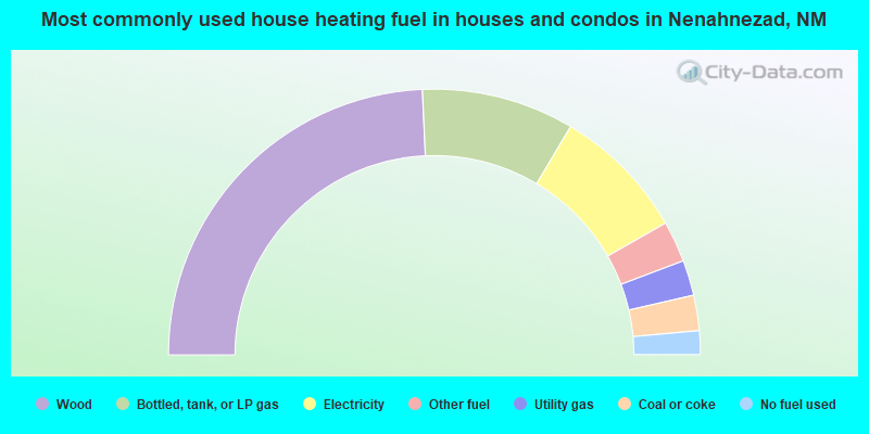 Most commonly used house heating fuel in houses and condos in Nenahnezad, NM