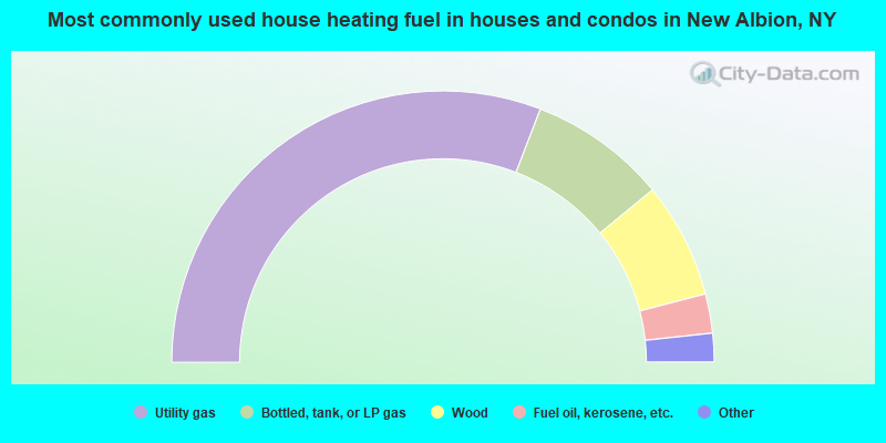 Most commonly used house heating fuel in houses and condos in New Albion, NY