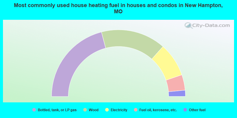 Most commonly used house heating fuel in houses and condos in New Hampton, MO