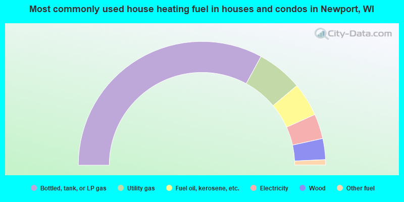 Most commonly used house heating fuel in houses and condos in Newport, WI