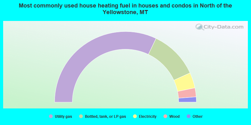 Most commonly used house heating fuel in houses and condos in North of the Yellowstone, MT