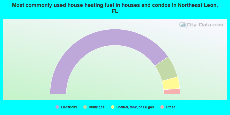 Most commonly used house heating fuel in houses and condos in Northeast Leon, FL