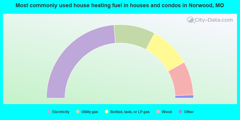 Most commonly used house heating fuel in houses and condos in Norwood, MO