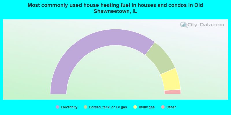 Most commonly used house heating fuel in houses and condos in Old Shawneetown, IL