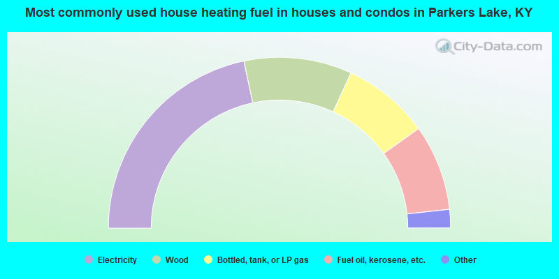 Most commonly used house heating fuel in houses and condos in Parkers Lake, KY