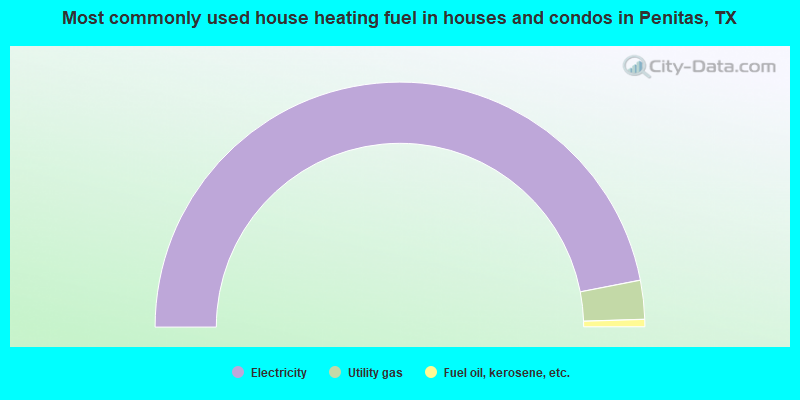 Most commonly used house heating fuel in houses and condos in Penitas, TX
