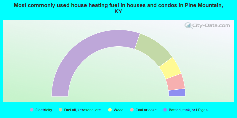 Most commonly used house heating fuel in houses and condos in Pine Mountain, KY