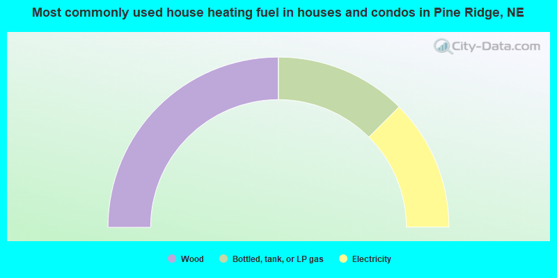 Most commonly used house heating fuel in houses and condos in Pine Ridge, NE