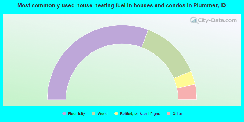 Most commonly used house heating fuel in houses and condos in Plummer, ID
