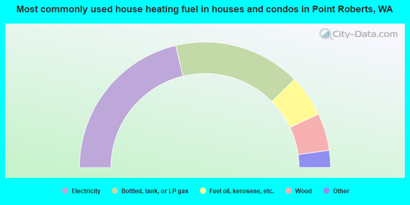 Most commonly used house heating fuel in houses and condos in Point Roberts, WA