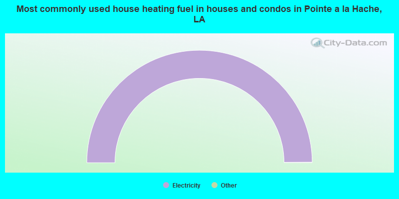 Most commonly used house heating fuel in houses and condos in Pointe a la Hache, LA