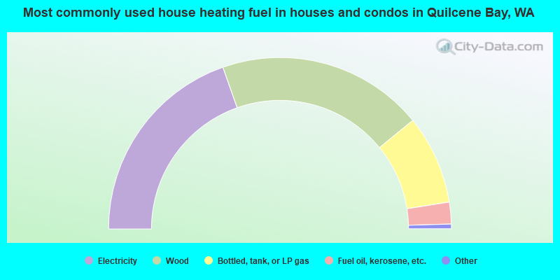 Most commonly used house heating fuel in houses and condos in Quilcene Bay, WA