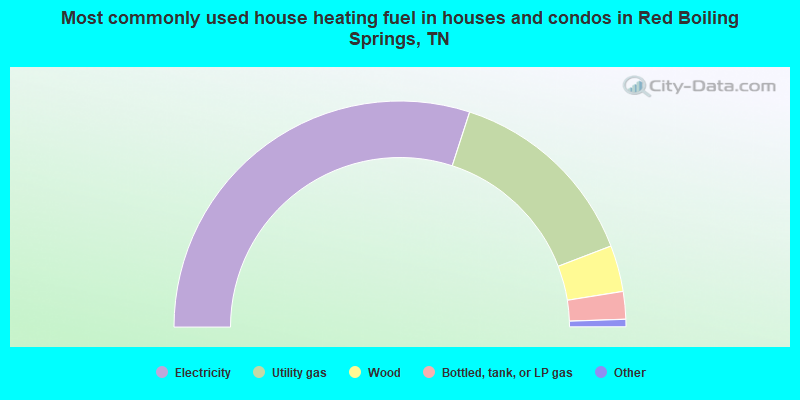 Most commonly used house heating fuel in houses and condos in Red Boiling Springs, TN