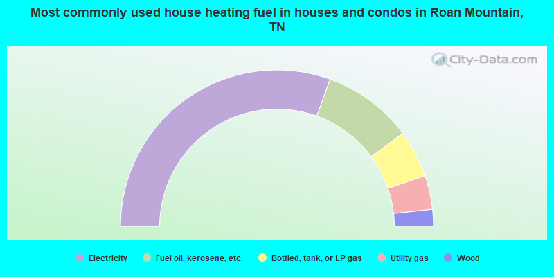 Most commonly used house heating fuel in houses and condos in Roan Mountain, TN
