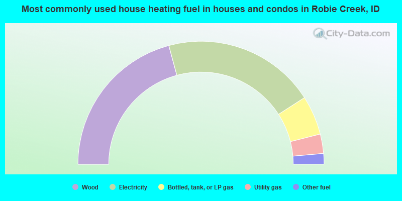 Most commonly used house heating fuel in houses and condos in Robie Creek, ID