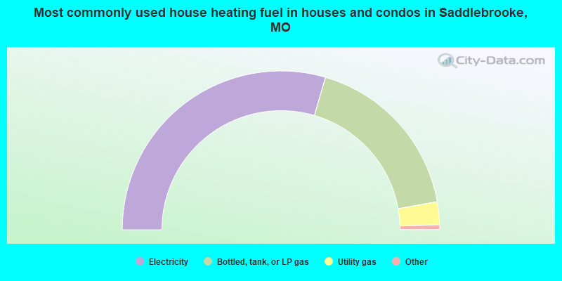 Most commonly used house heating fuel in houses and condos in Saddlebrooke, MO